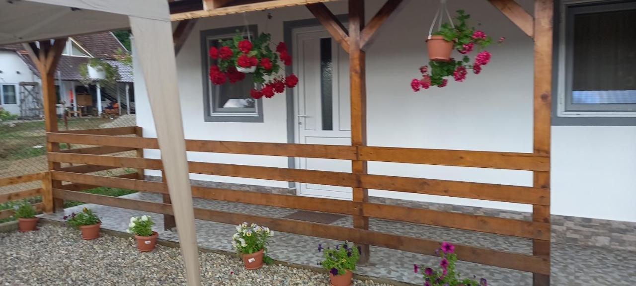 Villa Casa Claudiu Ieşelniţa Exterior foto